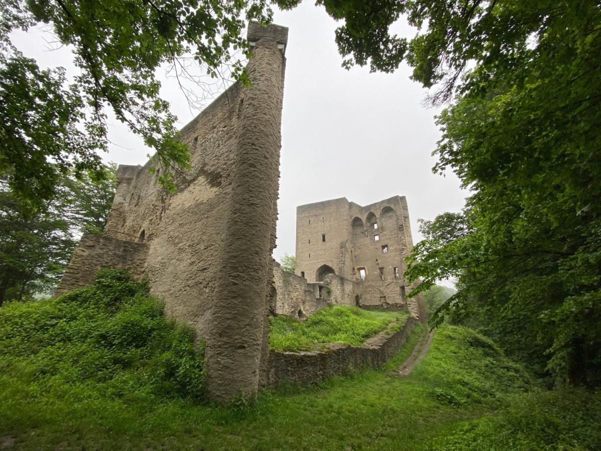 Neu!!! Netflix!!! Schoene Ferienwohnungen Im Gruenen Mit Top Ausstattung - Nur 15 Min Bis Koblenz Eitelborn Екстер'єр фото