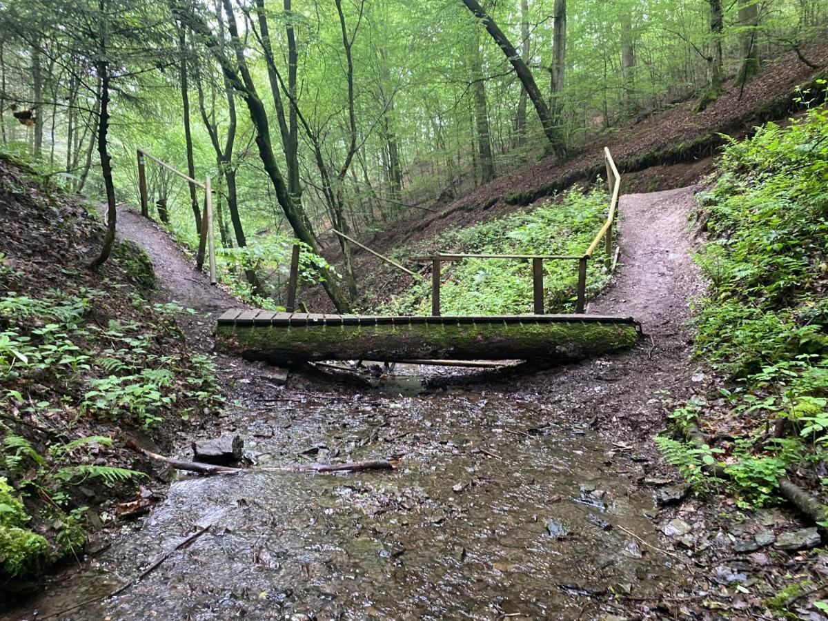 Neu!!! Netflix!!! Schoene Ferienwohnungen Im Gruenen Mit Top Ausstattung - Nur 15 Min Bis Koblenz Eitelborn Екстер'єр фото